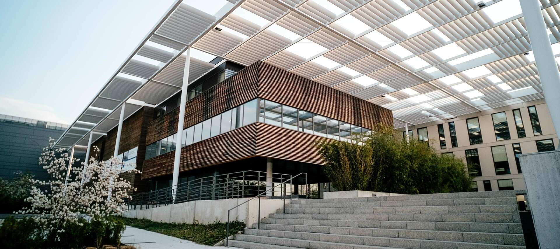 Development of architectural and engineering visualizations